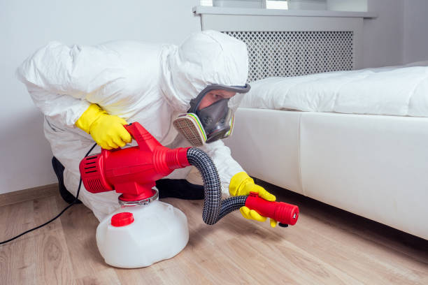Best Termite Control Services  in Fivepointville, PA