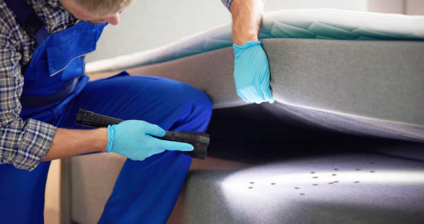 Best Rat Extermination Near Me  in Fivepointville, PA