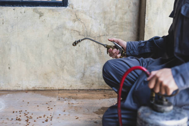Best Wasp Removal Services  in Fivepointville, PA